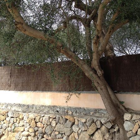 Agroturismo Finca Dalt Murada Binisalem Exteriér fotografie