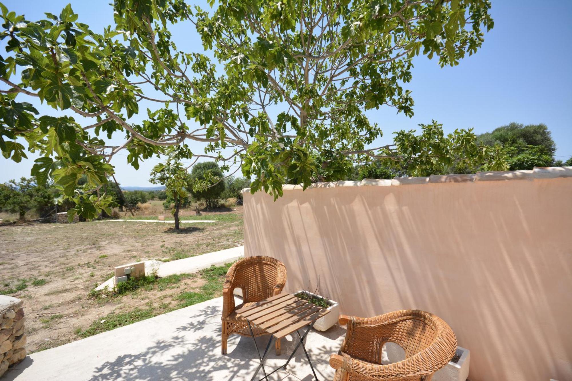 Agroturismo Finca Dalt Murada Binisalem Exteriér fotografie