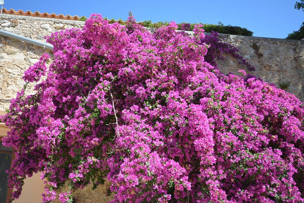 Agroturismo Finca Dalt Murada Binisalem Exteriér fotografie