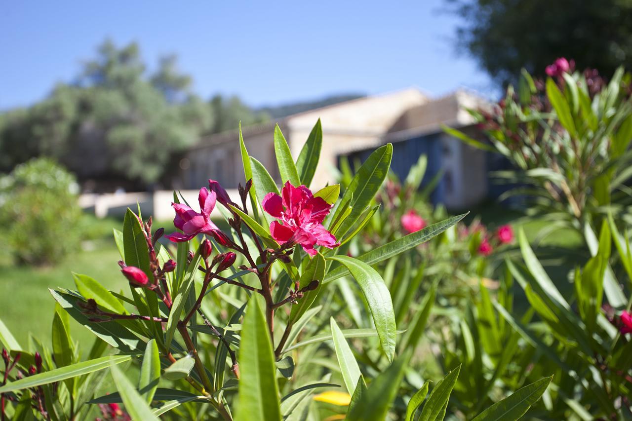 Agroturismo Finca Dalt Murada Binisalem Exteriér fotografie
